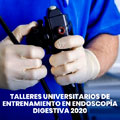 751tallerendoscopia.jpg